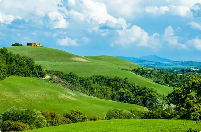 ȸѺעCO₂늳أƽ̼Դy}